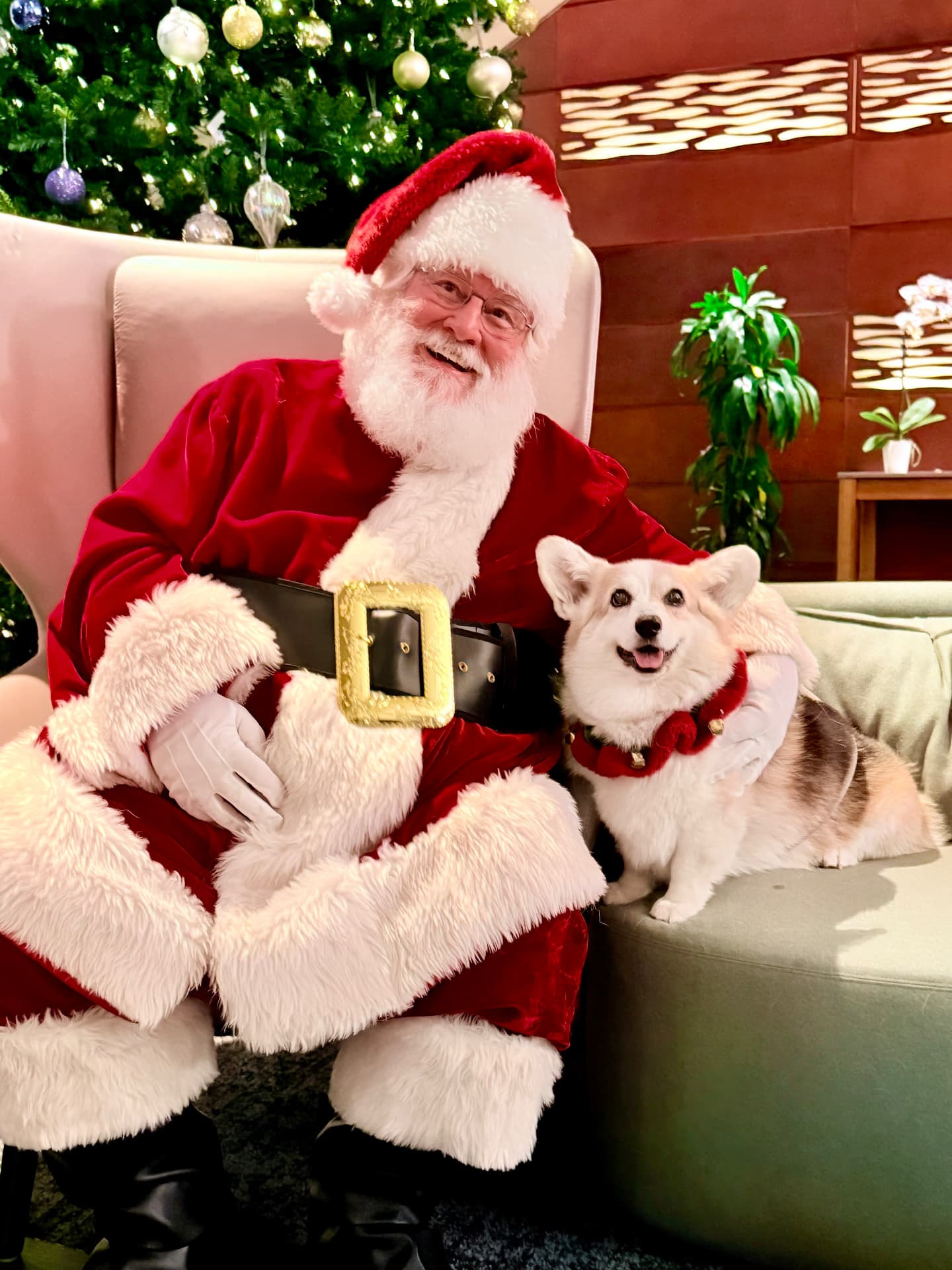 Santa Photos at Mission Bay